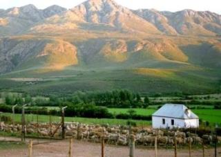 Swartberg South Africa