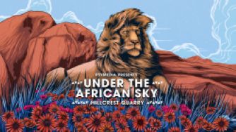 Under The African Sky