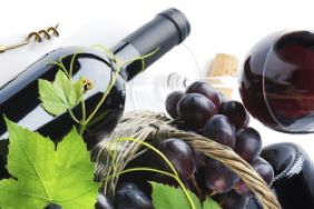 Winelands to the Beach  Summer Drinks Event