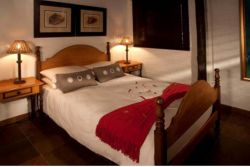 224onKent in Ferndale, Self Catering Accommodation in Johannesburg