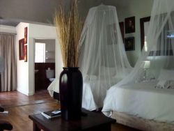 44 On Ennis Guest Lodge & Restaurant in Ermelo, Guest Houses Accommodation in Wetlands