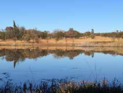 Abba Game Lodge in Modimolle, Game Lodges & Resorts Accommodation in Bushveld