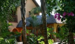 A Bohemian Rhapsody in Pretoria North Suburb, Guest Houses Accommodation in Mountain View