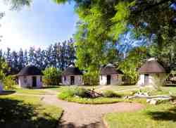 Addo African Home  Restaurant  Safari