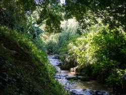 Africa's Eden B&B in Wembley, Guest Houses Accommodation in Montrose