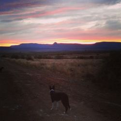 Allendale Farm Guest Cottage, Cottages / Chalets Accommodation in Graaff-Reinet