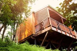 ArendsRus Country Lodge, Bed and Breakfast Accommodation in George