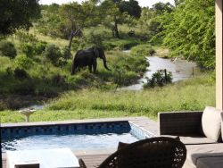 Barn Owl Lodge Mjejane Game Reserve in Marloth Park, Game Lodges & Resorts Accommodation in Mpumalanga