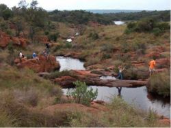 Bateleur Nature Reserve, Game Lodges & Resorts Accommodatie in Modimolle