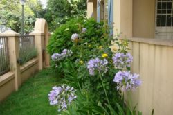 Bertha's Guest Flats, Woonstelle Verblyf in Stellenbosch