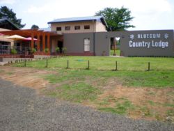 Bluegum Country Lodge, Homes & Villas Accommodation in Bethal