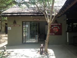 Bush Pub & Inn in Hoedspruit, Maisons d’Hôtes Logement in Timbavati Game Reserve (LIM)