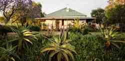 Carnarvon Dale House Amakhala Game Reserve in Paterson, Homes & Villas Accommodation in Alicedale