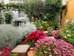 Cathy's Guesthouse, Guest Houses Accommodation in Cradock