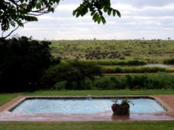 Crocodile Bridge Safari Lodge in Komatipoort, Game Lodges & Resorts Accommodation in Crocodile Bridge Gate