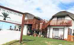 Cycads on Sea Guest House