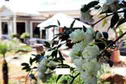 DeKat  B&B and S/C, Bed and Breakfast Accommodation in Burgersdorp