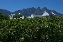 Dunstone Country House in Wellington, Guest Houses Accommodation in Cape Winelands