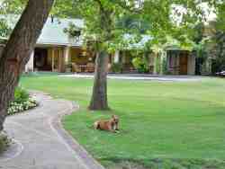 Durnford's Lodge, Bed and Breakfast Accommodation in Ladysmith