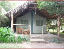 Enchoro Wildlife Camp Masai Mara in Nairobi, Backpackers Accommodation in Kenya