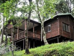 Forest Bird Lodge, Game Lodges & Centres de vacances Logement in Magoebaskloof