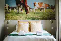 Friesland Cottage in Wilderness, Cottages / Chalets Accommodation in Hoekwil