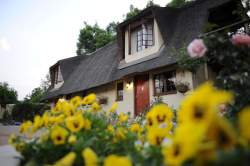 Granny Mouse Country House, Hotels Accommodation in Balgowan