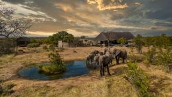 Imagine Africa Tented Camp in Balule Nature Reserve, Game Lodges & Centres de vacances Logement in Kruger National Park (LIM)