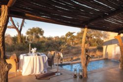  Kings Camp in Hoedspruit, Game Lodges & Centres de vacances Logement in Timbavati Game Reserve (LIM)