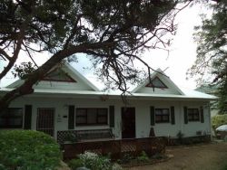 Laughing Gecko Lodge in Southbroom, Guest Houses Accommodation in South Coast (KZN)