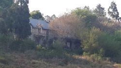 Little Fields Country House in Hilton, Guest Houses Accommodation in Pietermaritzburg