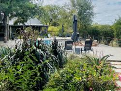 Little Kubu Lodge in Hoedspruit, Game Lodges & Resorts Accommodatie in Limpopo
