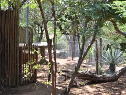 Impala Cottage in Hoedspruit, Game Lodges & Resorts Accommodation in Limpopo