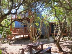 Magical Cabin in the Woods in Klein Baai, Cottages / Chalets Accommodation in Pearly Beach