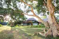 Maninghi Lodge in Hoedspruit, Game Lodges & Resorts Accommodation in Grietjie Game Reserve