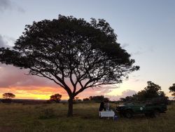 Mziki Safari Lodge in Pilanesberg, Lodges in Wildreservat & Resorts Unterkünfte in North West