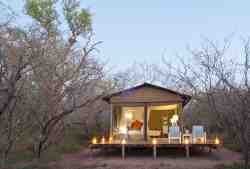 Ngama Tented Safari Lodge in Hoedspruit, Lodges Verblyf in Manyeleti Game Reserve