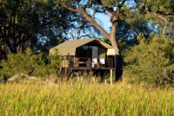 Nkasa Lupala Tented Lodge in Nkasa Rupara National Park, Game Lodges & Resorts Accommodation in Maun