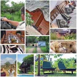 Nsele Safari Lodge in Hoedspruit, Lodges Verblyf in Manyeleti Game Reserve