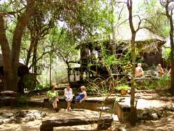 Offbeat Safaris in Hoedspruit, Game Lodges & Resorts Accommodation in Limpopo