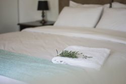 Ollivanders Estate in Shongweni, Cottages / Chalets Accommodation in Mid Illovo
