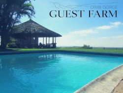 Oribi Gorge Guest Farm in Port Shepstone, Guest Houses Accommodation in Umzimkulu