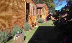 Hibiscus Self Catering Cabins in Utrecht, Cottages / Chalets Accommodation in Wakkerstroom