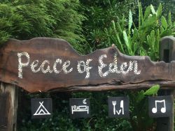 Peace of Eden Eco Nature Lodge & Forest Retreat in Knysna, Chalets Verblyf in Rheenendal