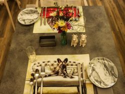 Polo Guest House