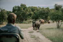 Rhino's Rest Private Luxury Villa in Hoedspruit, Game Lodges & Resorts Accommodation in Valley of the Olifants
