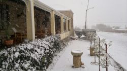 Rosenhof Exclusive Country Lodge, Bed and Breakfast Accommodatie in Paul Roux