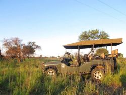 Sandfields and Forests in Mookgopong (Naboomspruit), Game Lodges & Resorts Accommodation in Bushveld
