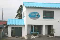 Seagulls Nest Flat, Apartments / Flats Accommodation in Struisbaai
