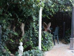 Snel Guest Lodge  in Brackenhurst, Guest Houses Accommodation in Randhart